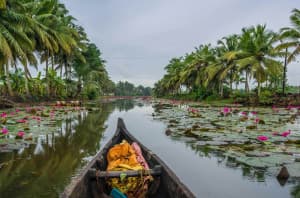 Discover Kumarakom: A Serene Backwater Paradise!