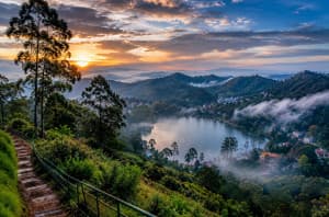 Best Tea with View Stops in Kodaikanal: 7 Scenic Tea Shops You Must Visit