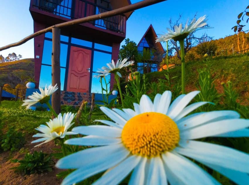 Book Hie Moksha - Kodaikanal in Kodaikanal