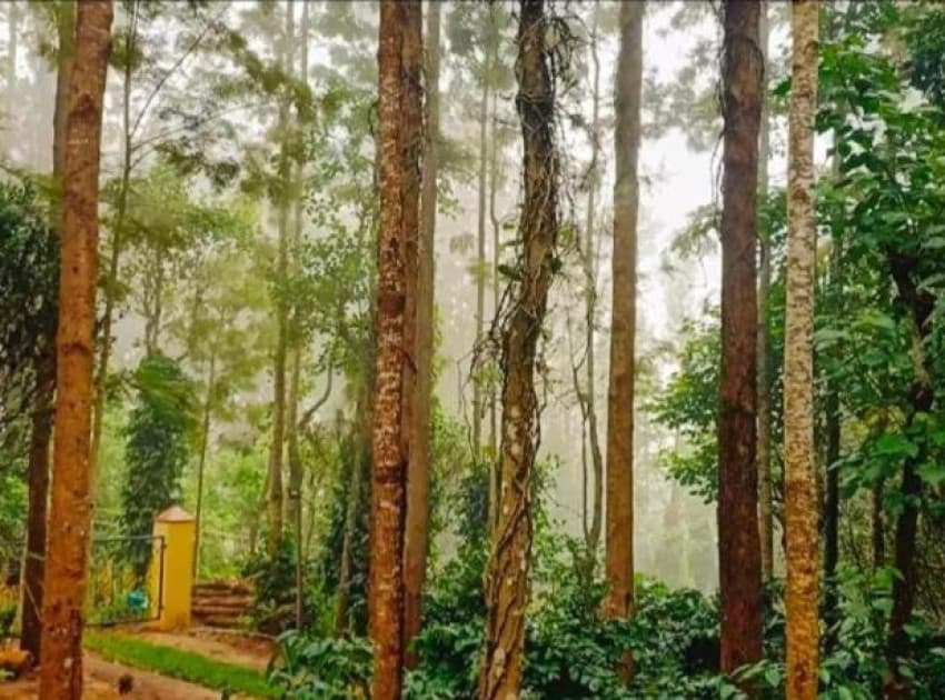 S.P Resort Inn - Image 3