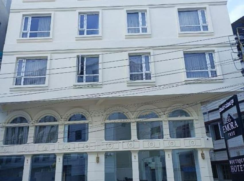 Hotel Emora Tree - Image 3