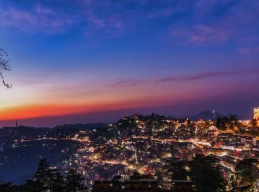 Shimla Royale - Image 2