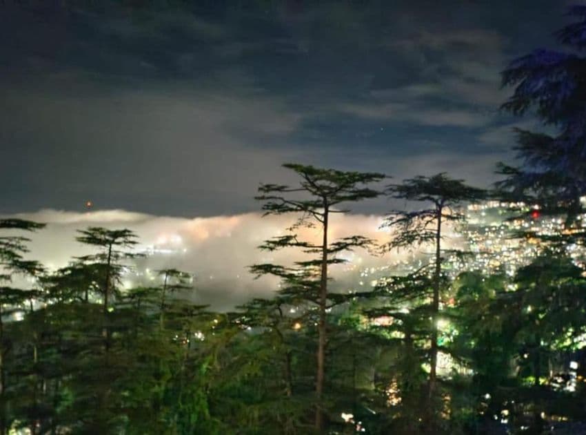 Shimla Royale - Image 4