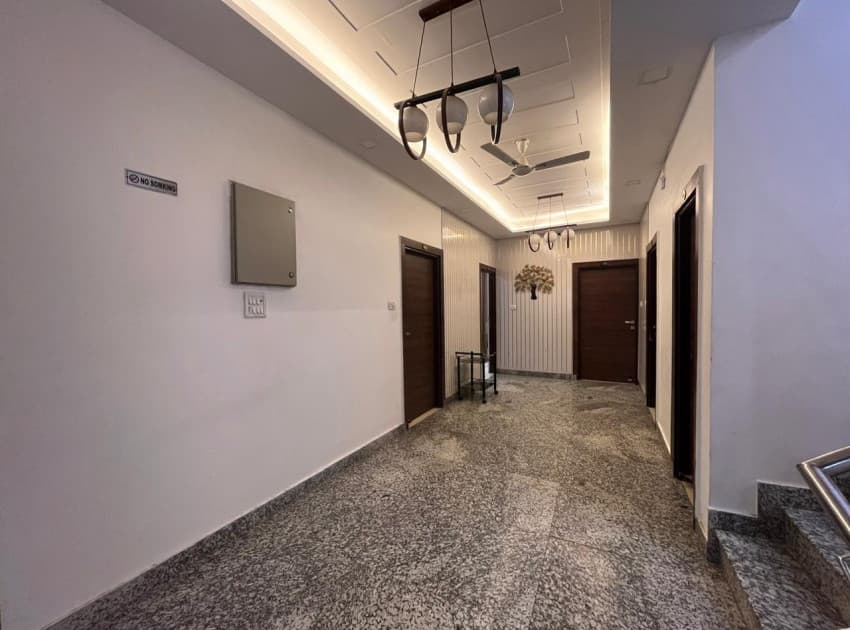 The Divine Oak - Image 3