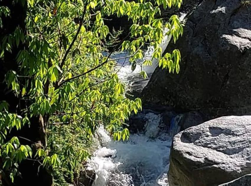 Paradise Hills Dalhousie !! Near Panchpula Water Fall - Image 4