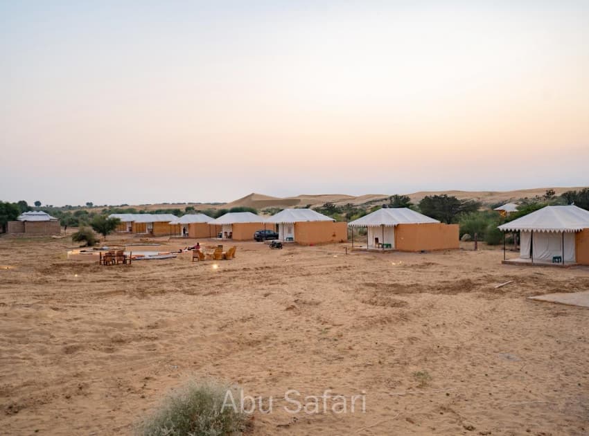 Abu Safari - Image 3