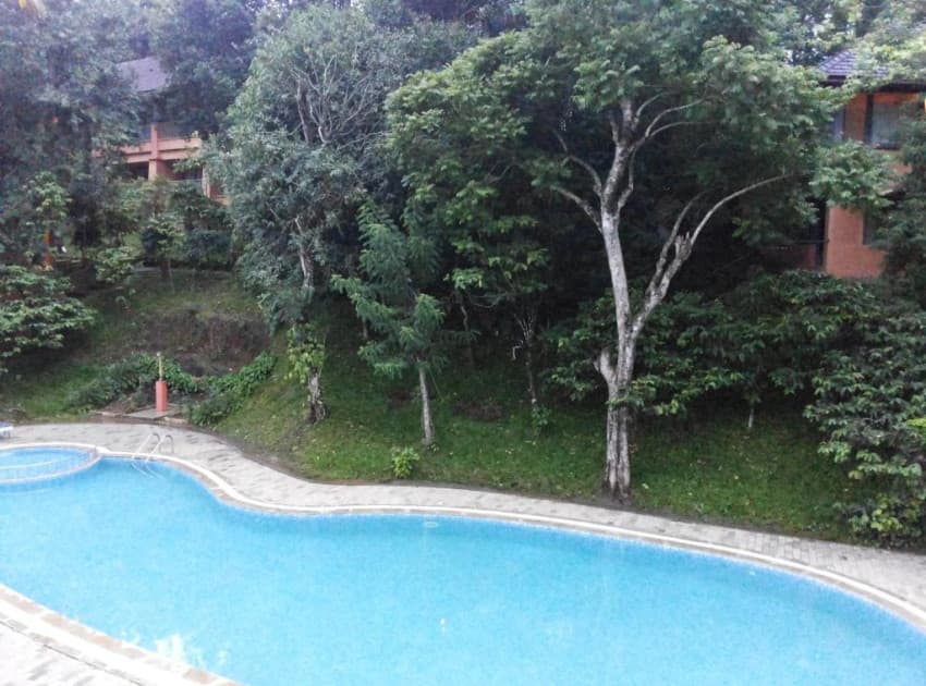 Abad Green Forest Thekkady - Image 2