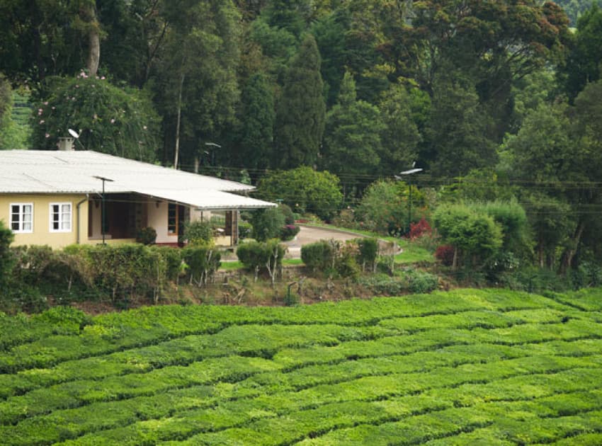 Cloud Mountain Bungalow - Image 4