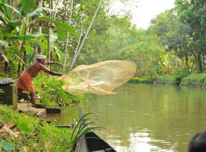 Kuttickattil Gardens Villa - Image 3