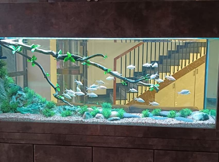 Sreeja Myst - Image 4