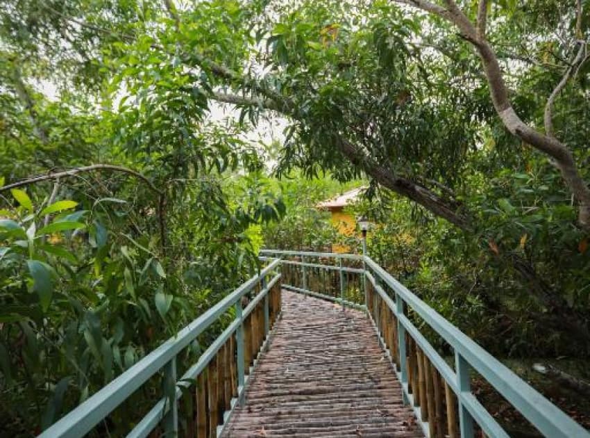 GoGo Land Resort & Adventurous Sports - Image 4