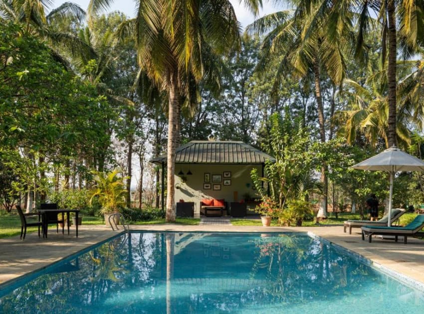 The Mangifera By Littlearth Group - Image 4