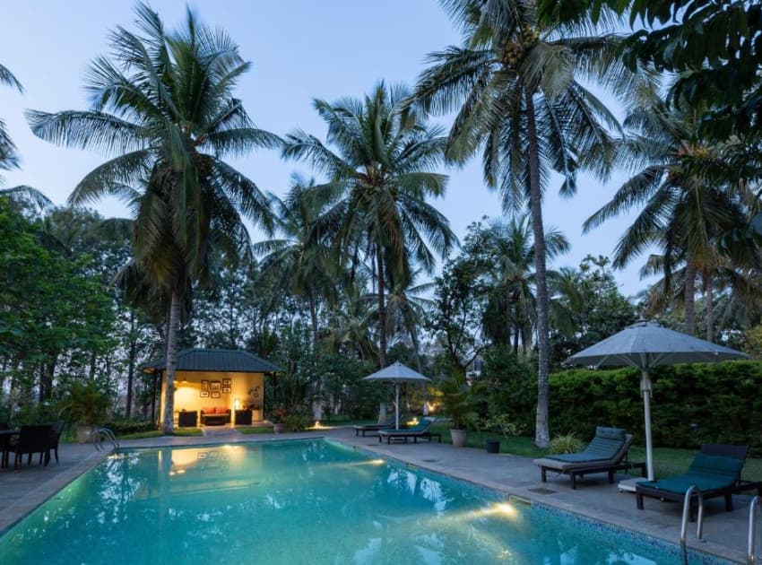 The Mangifera By Littlearth Group - Image 2