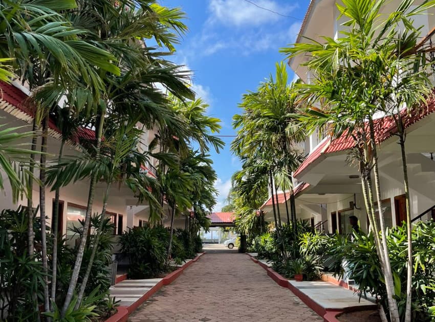 The Bay Treasure - Image 4