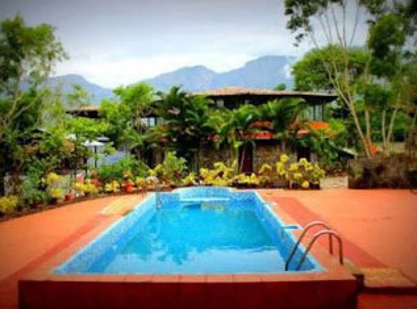 The Tiger Paw Resort - Image 3