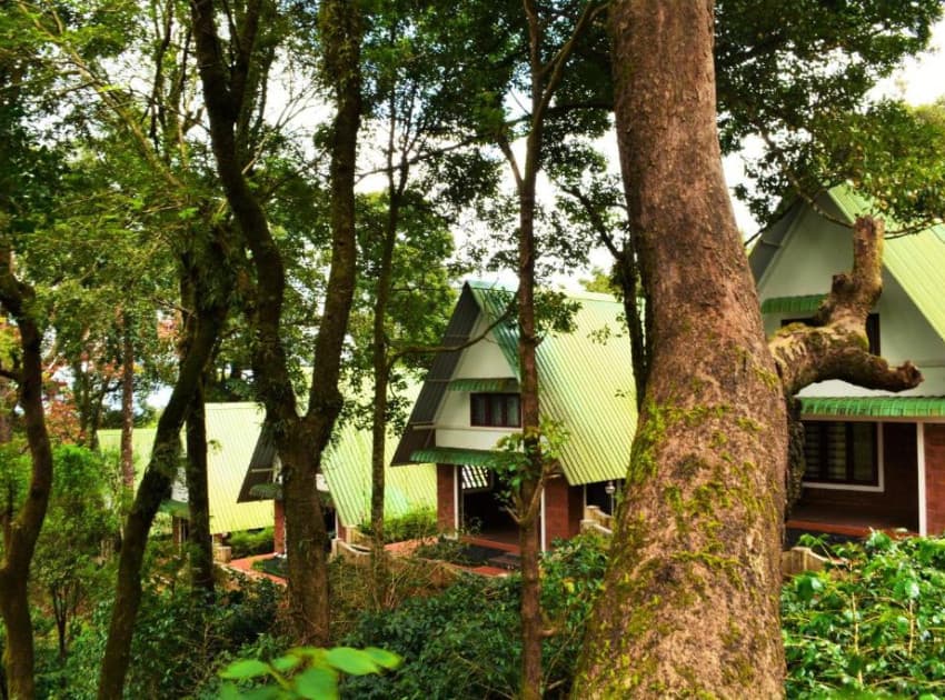 Book Misty Woods Resort in Masinagudi