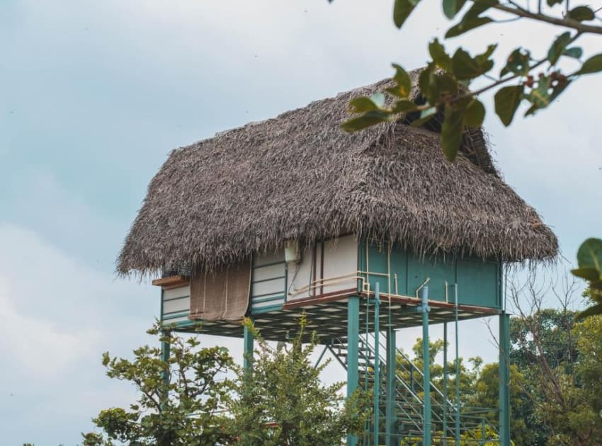 The Wilderness Campsite - Image 3