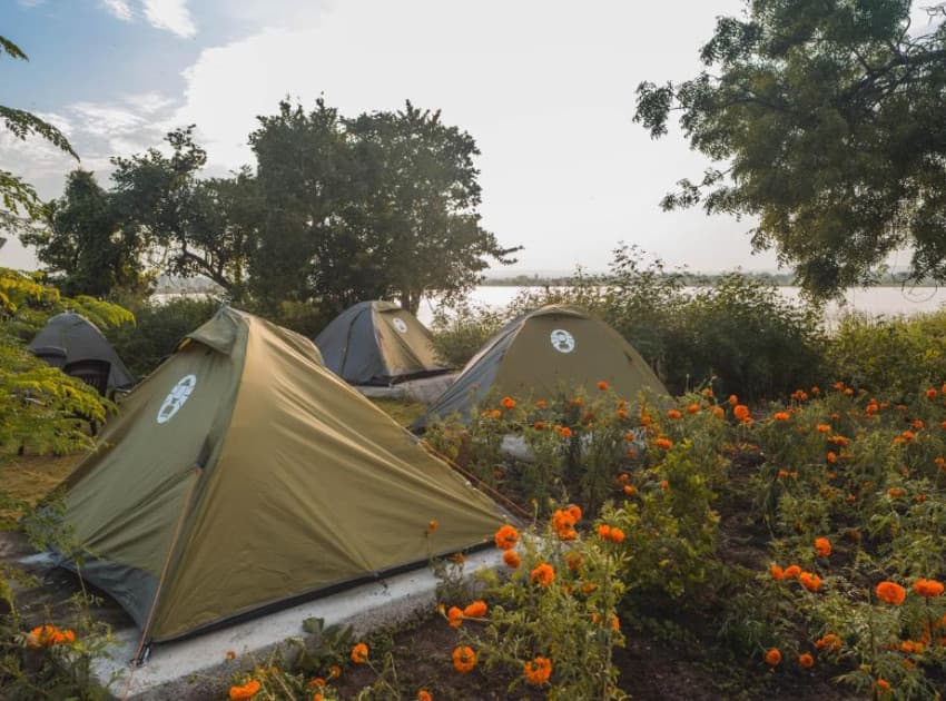 The Wilderness Campsite - Image 2