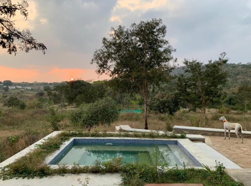 Dhole's Den Bandipur - Image 4