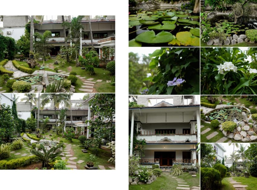 Memmsta Drift Wood Heritage - Image 3