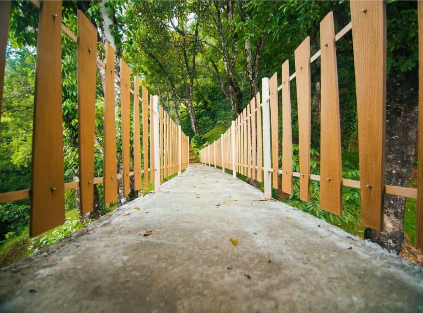 Forest Glade - Munnar - Image 3
