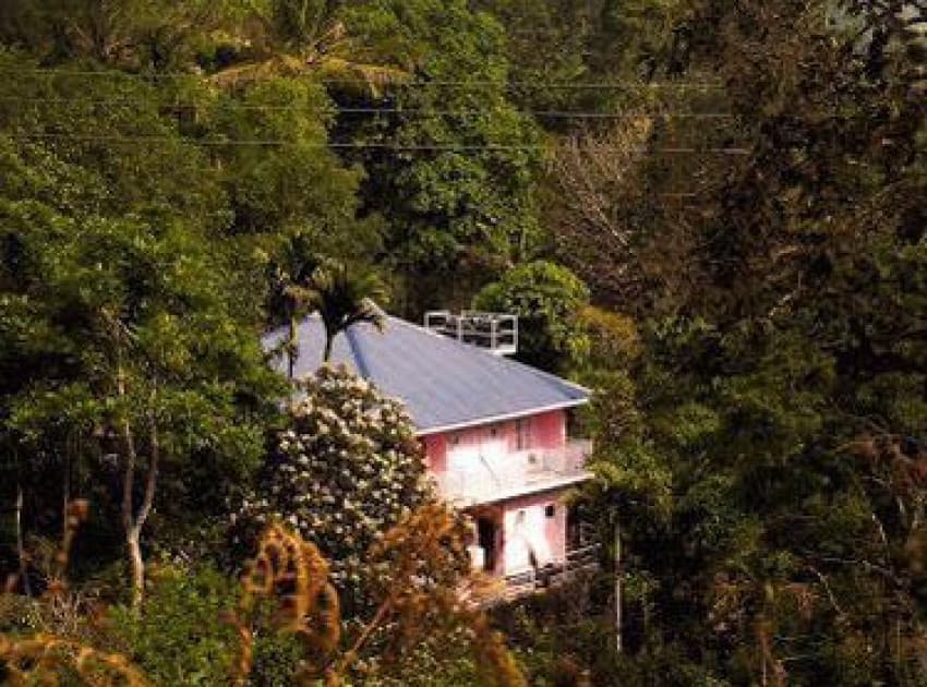 Book Memmsta Drizzle Valley Cottage - Munnar in Munnar