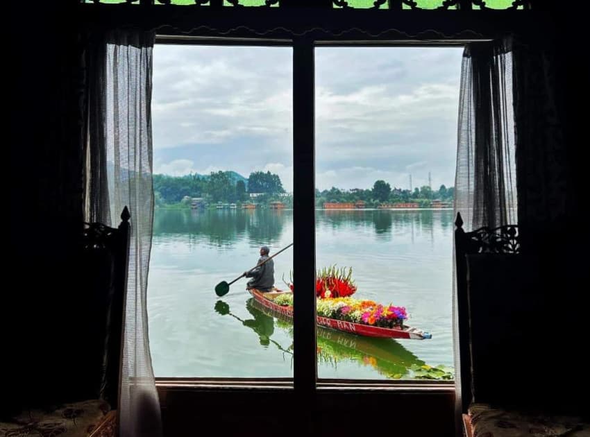 Lily of Nageen Srinagar - Image 4