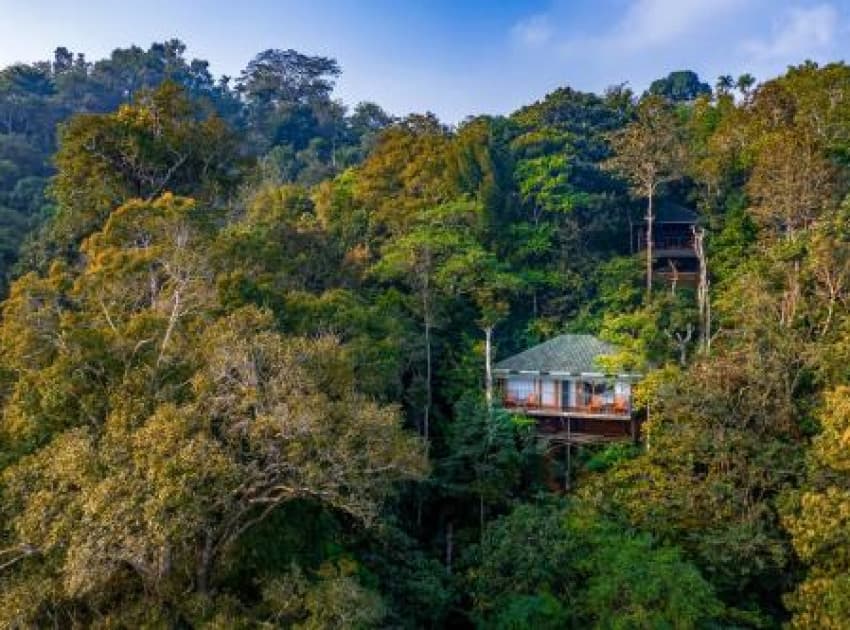 Book Chembarathi Wayanad Boutique Resort in Wayanad