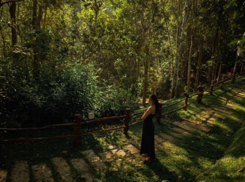 Chembarathi Wayanad Boutique Resort - Image 3