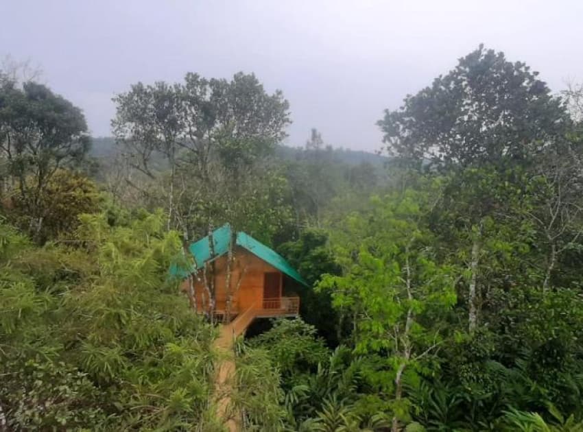 Spice Villa Thekkady - Image 4