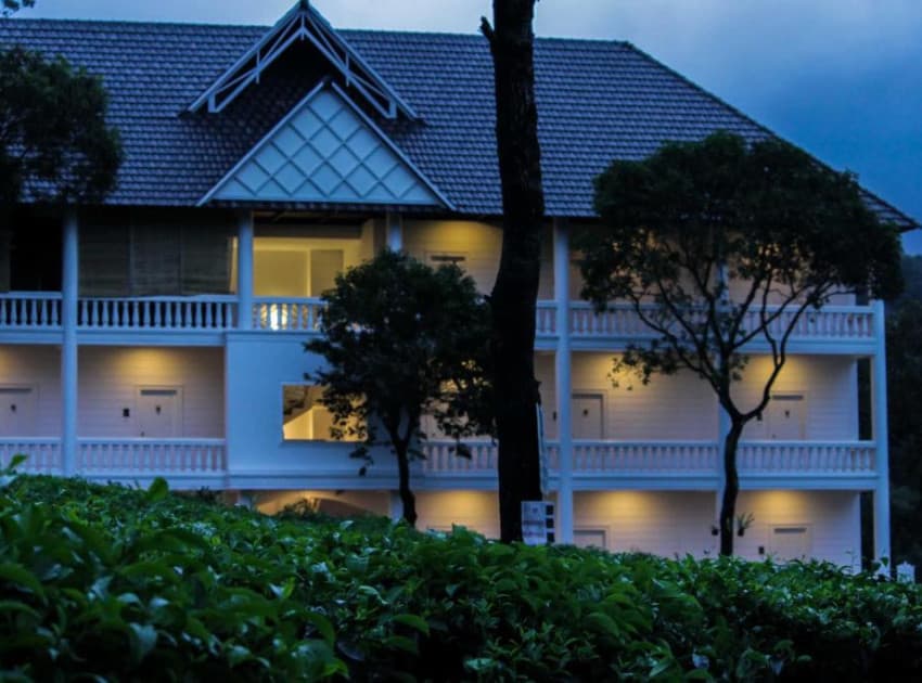 Tea Harvester - Image 4