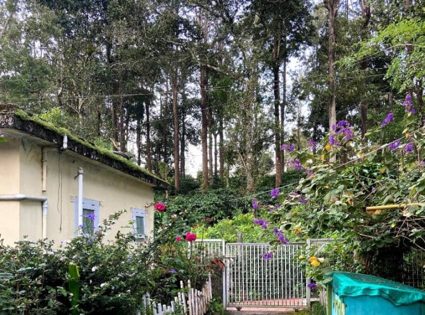 Ammus Homestay - Image 4