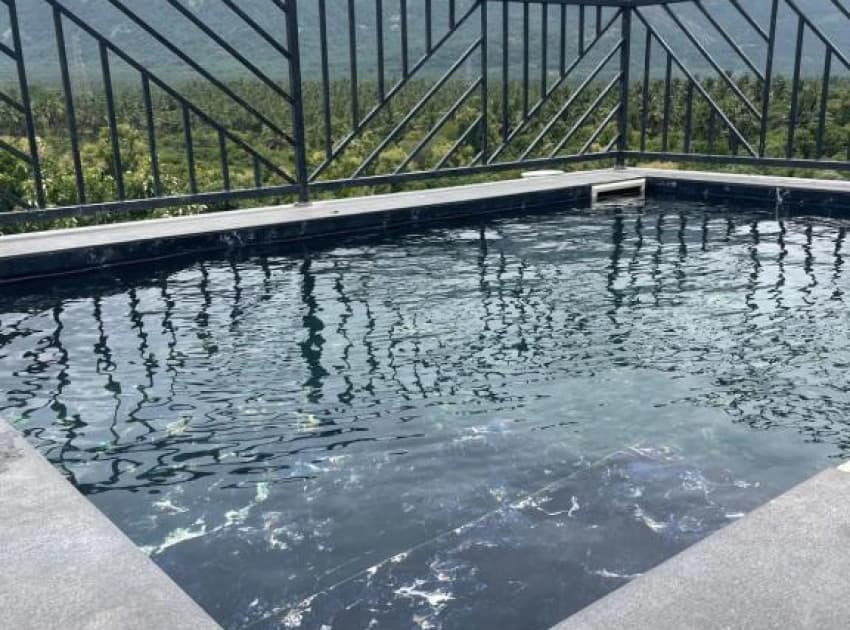 Bougainville Farmstay Kollengode - Image 3