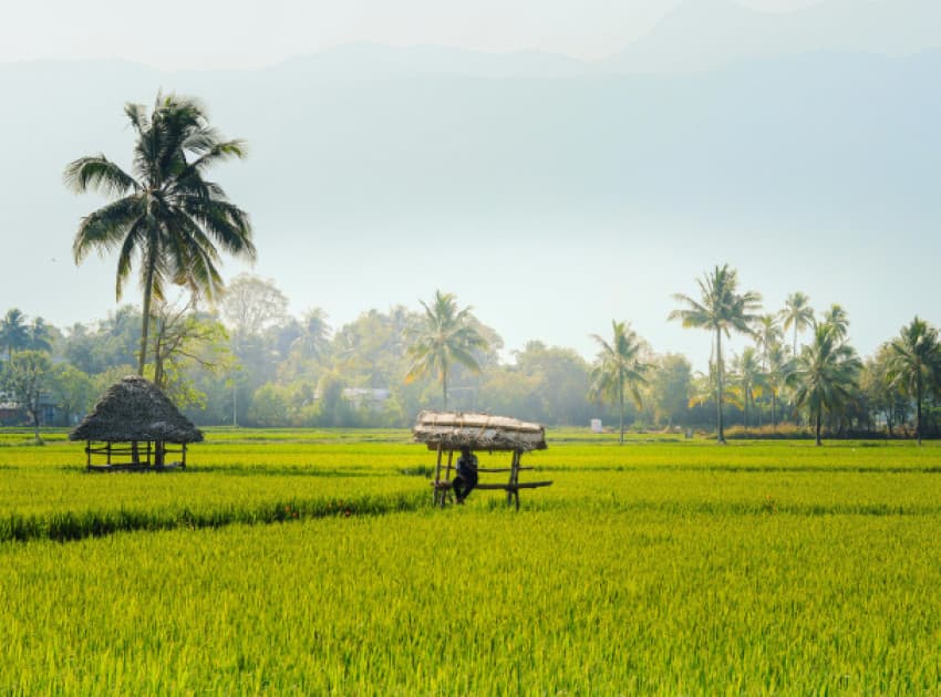 Find Hotels in Palakkad