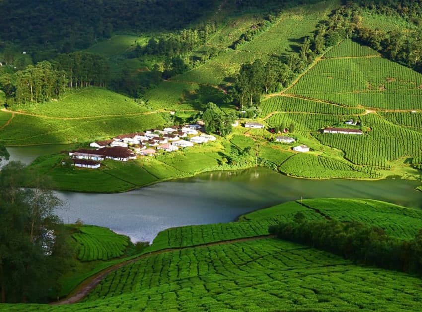 Find Hotels in Megamalai