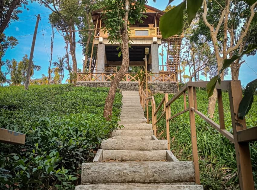 Book Tree House room in Vagamon