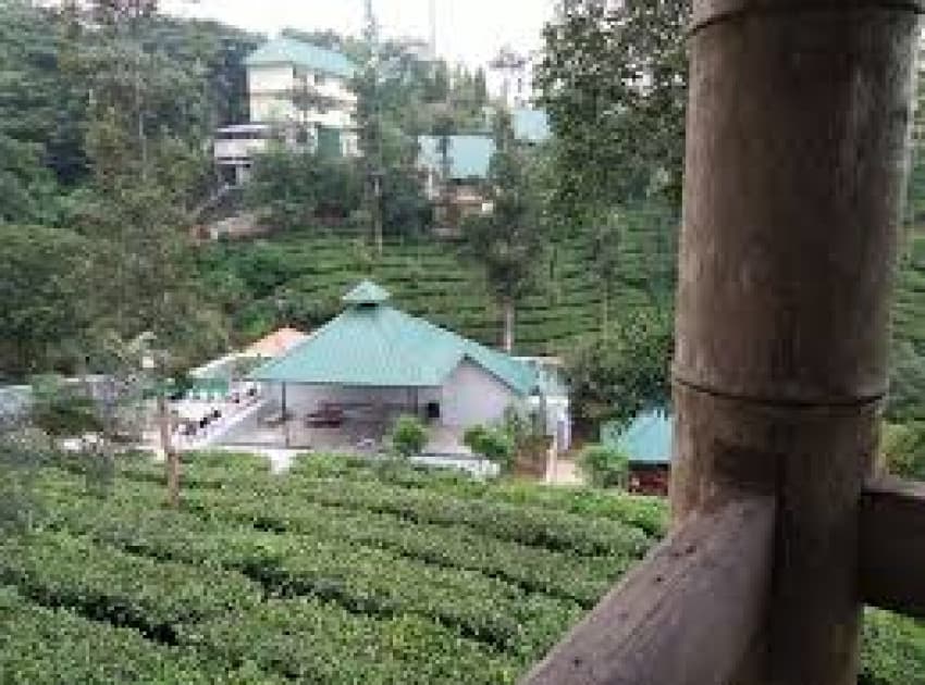 Book Private Pool Wooden Villa (Non Ac) room in Vagamon