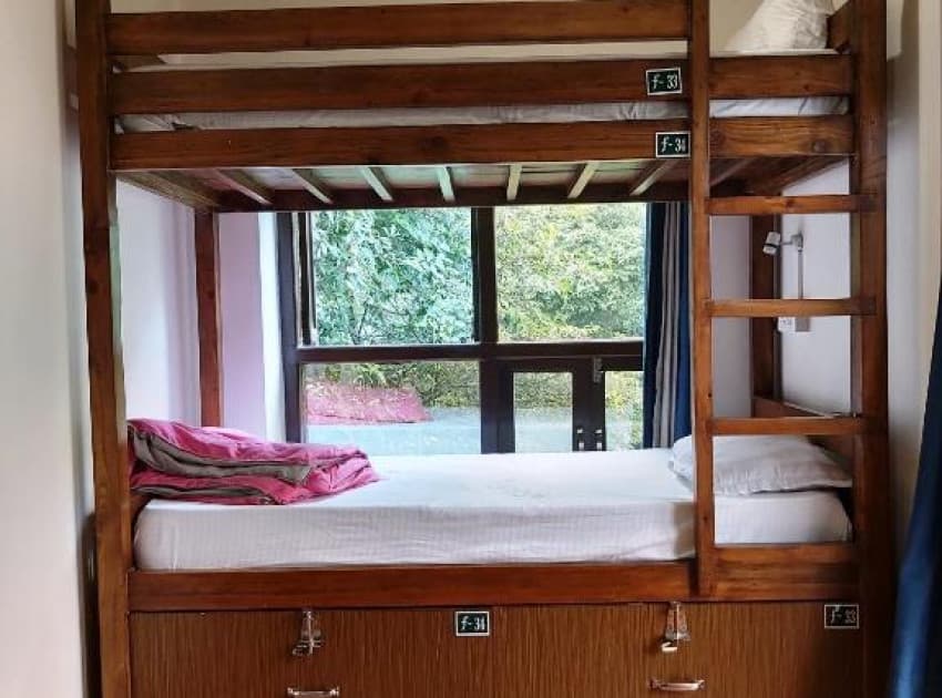 Book Bunk Bed in Female Dormitory Room room in Dharmashala