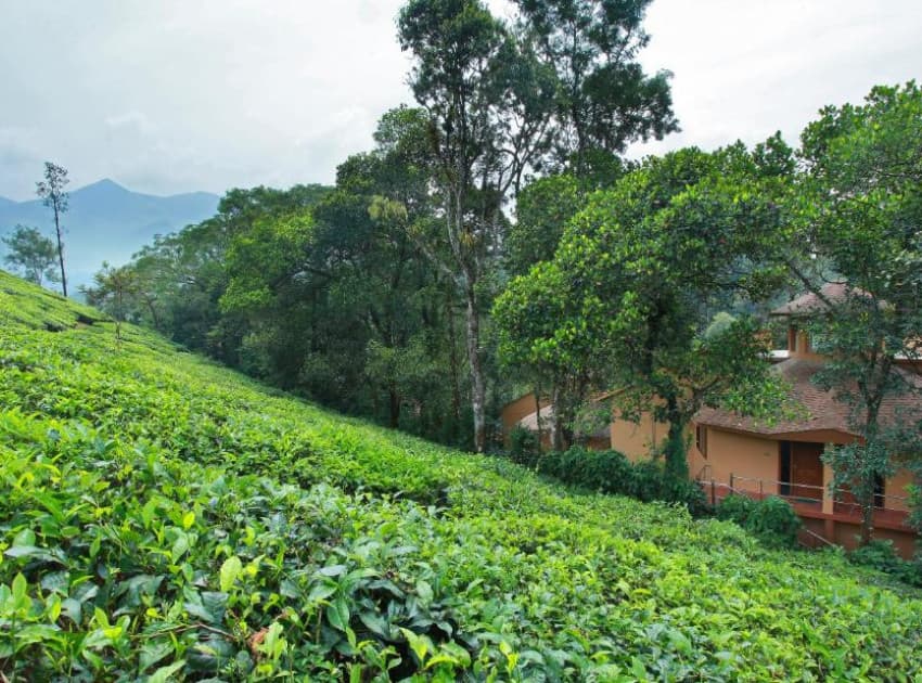 Book Cottage room in Wayanad