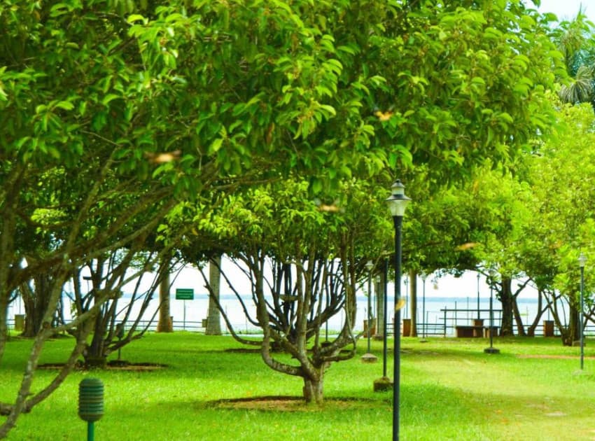Book Garden View Room room in Kumarakom