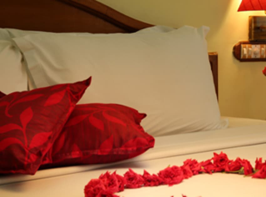 Book Deluxe Double Room room in Kovalam