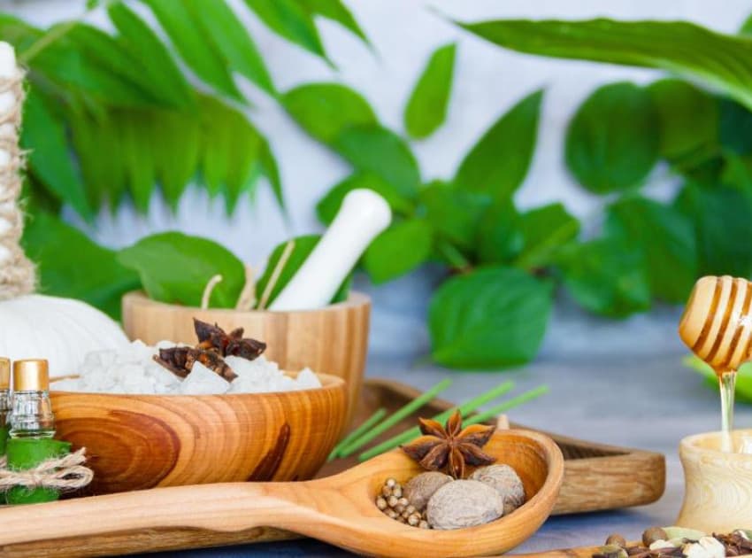 Book Lakefront Luxury Villas with Plunge Pool room in Kumarakom