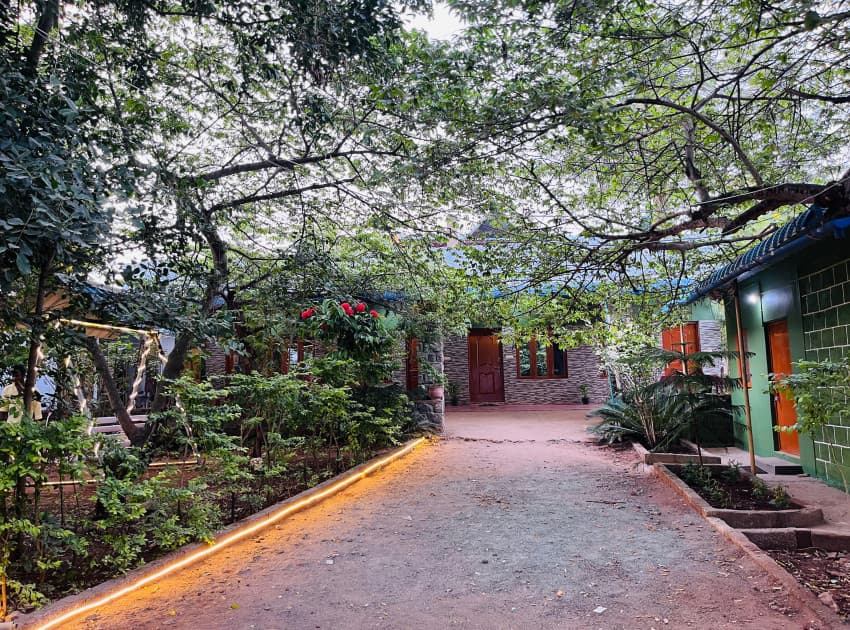 Book Standard Room room in Masinagudi