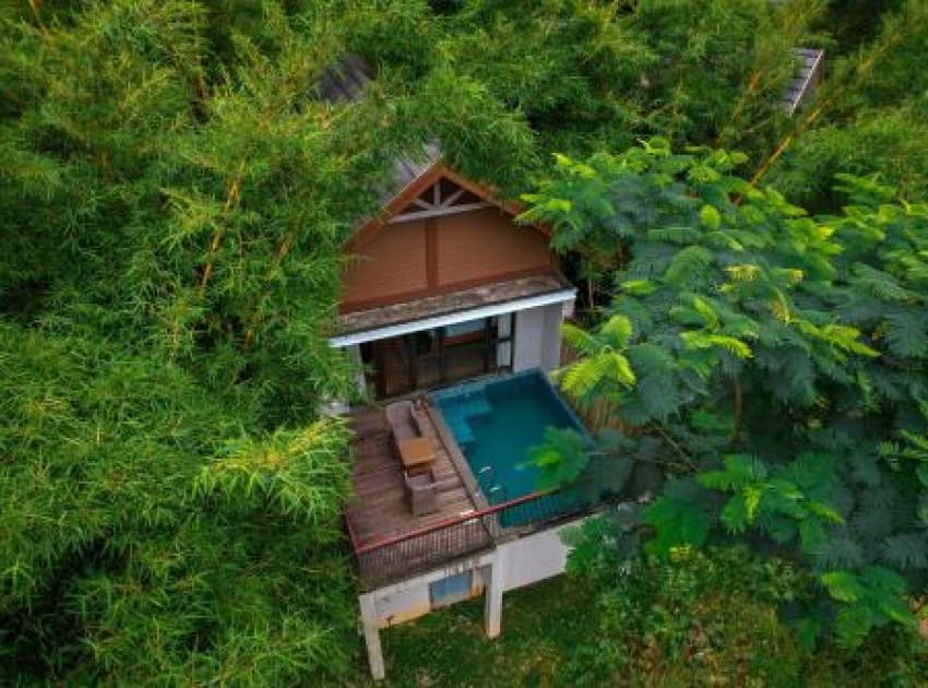 Book Suite room in Wayanad