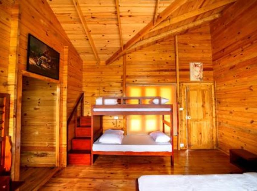 Book Two-Bedroom Villa room in Wayanad