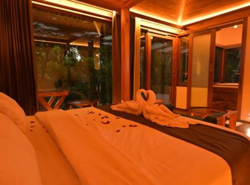 Book Suite with Pool View room in Wayanad