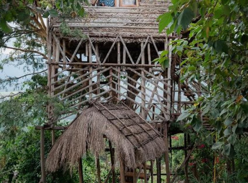 Book Treehouse room in Munnar