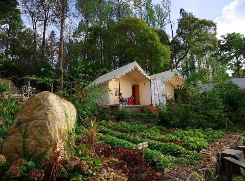 Book WOW Bison Woods in Yercaud