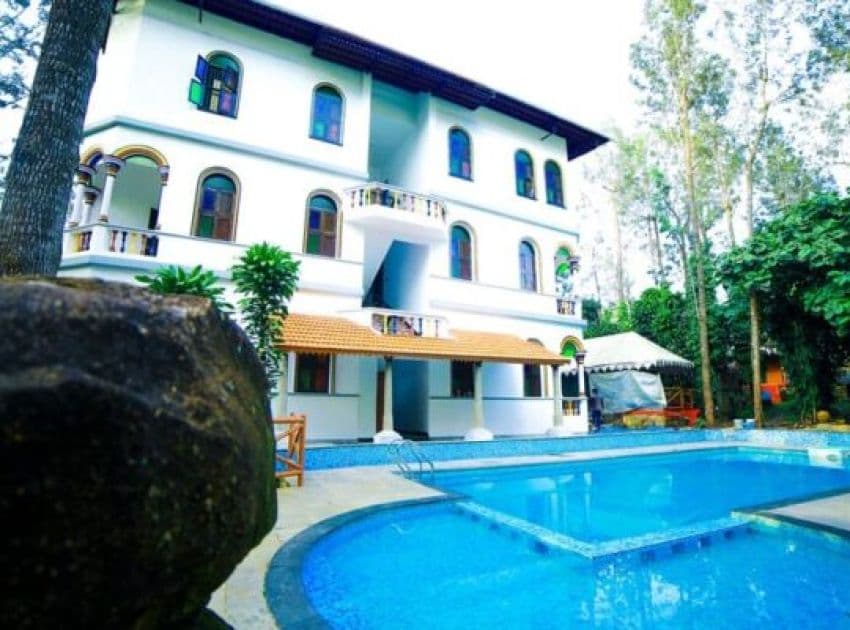 WOW Bison Woods - Image 3