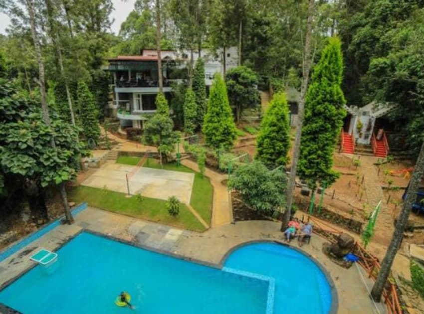 WOW Bison Woods - Image 2